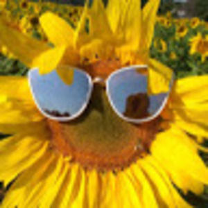 Meet your Posher, Missy